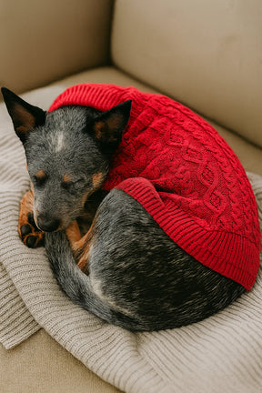 Parisian Pet - Dog Cable Knit Sweater Red