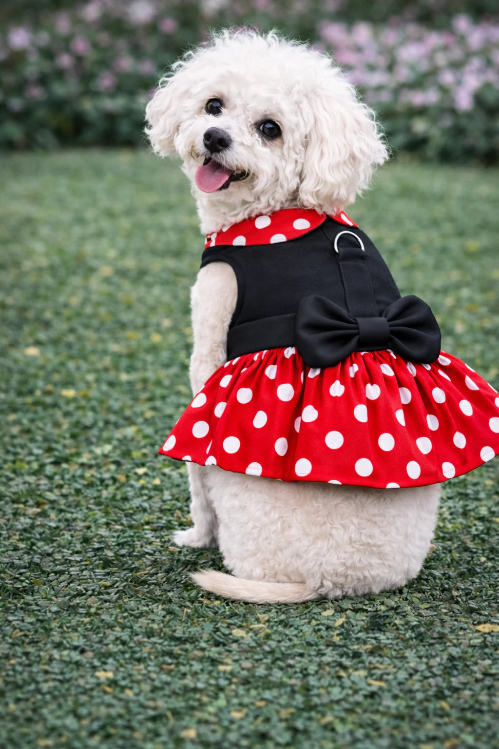 Parisian Pet - Dog Dress Minnie Red Dots