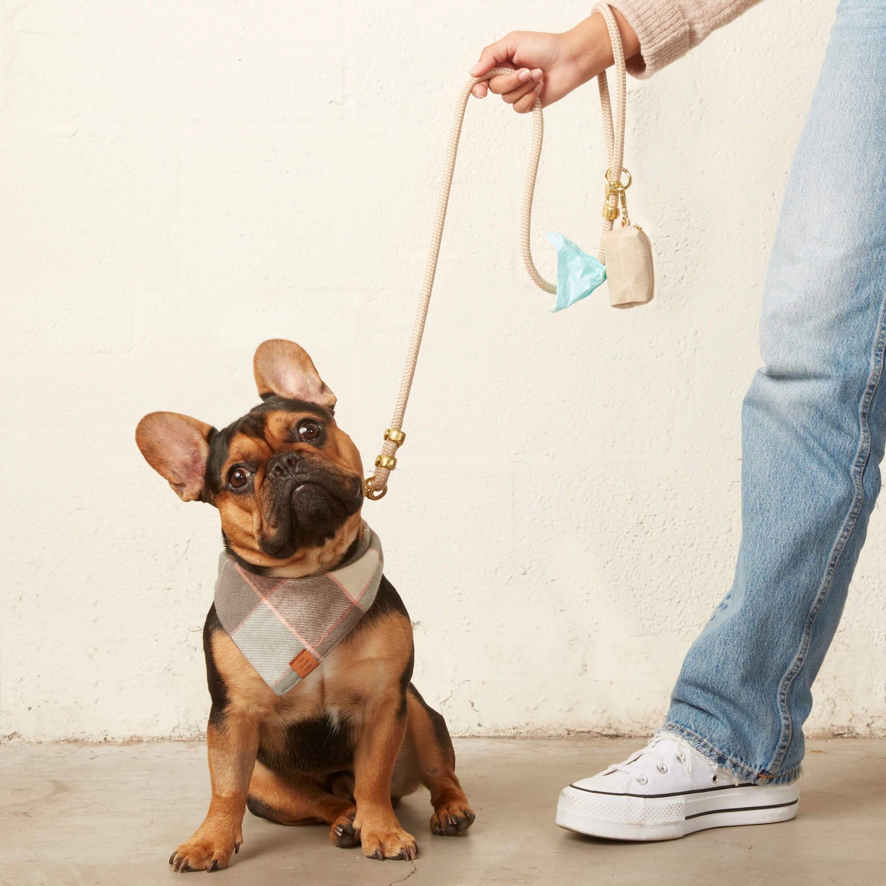 The Foggy Dog - Waste Bag Holder Flax
