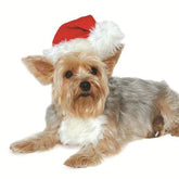 Dogo Pet - Santa Hat Costume