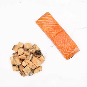 Superfood Bites 100% Salmon Wild Treats Freeze-Dried Raw