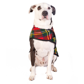 Dog Blanket Coat Scotty Plaid