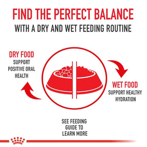 Royal Canin Veterinary Diet - Urinary SO Dog Can Thin Slices