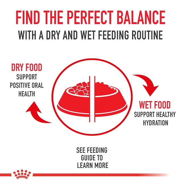 Royal Canin Veterinary Diet - Urinary SO Dog Can Thin Slices