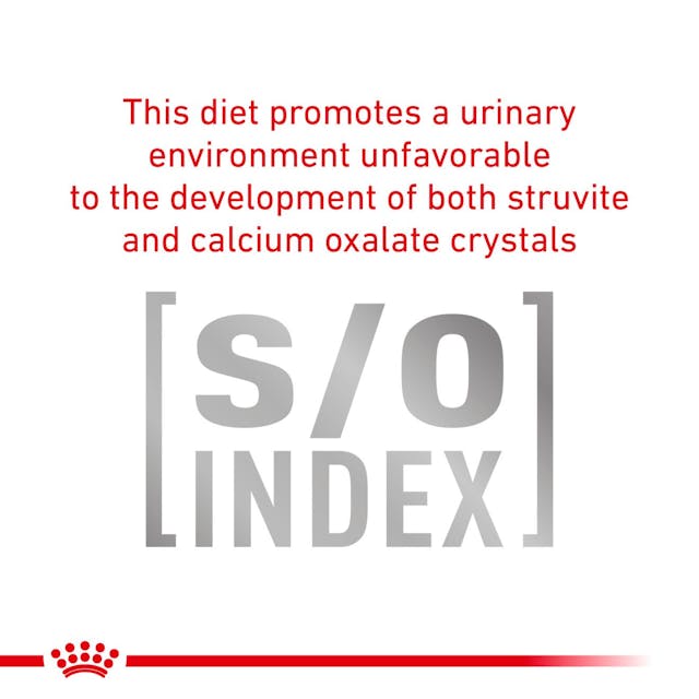 Royal Canin Veterinary Diet - Urinary SO Dog Can Thin Slices