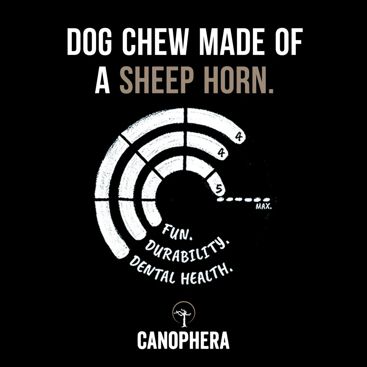 Sheep Horn Dog Treat