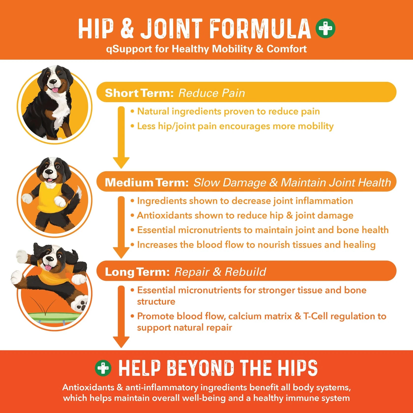 Bernie's Perfect Poop - Bernie's Healthy Hips - 90 count
