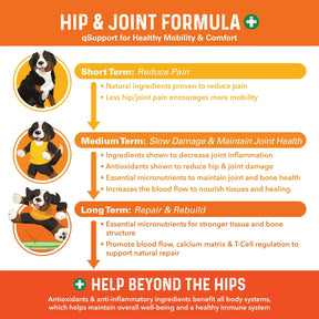 Bernie's Perfect Poop - Bernie's Healthy Hips - 90 count