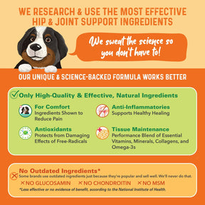 Bernie's Perfect Poop - Bernie's Healthy Hips - 90 count