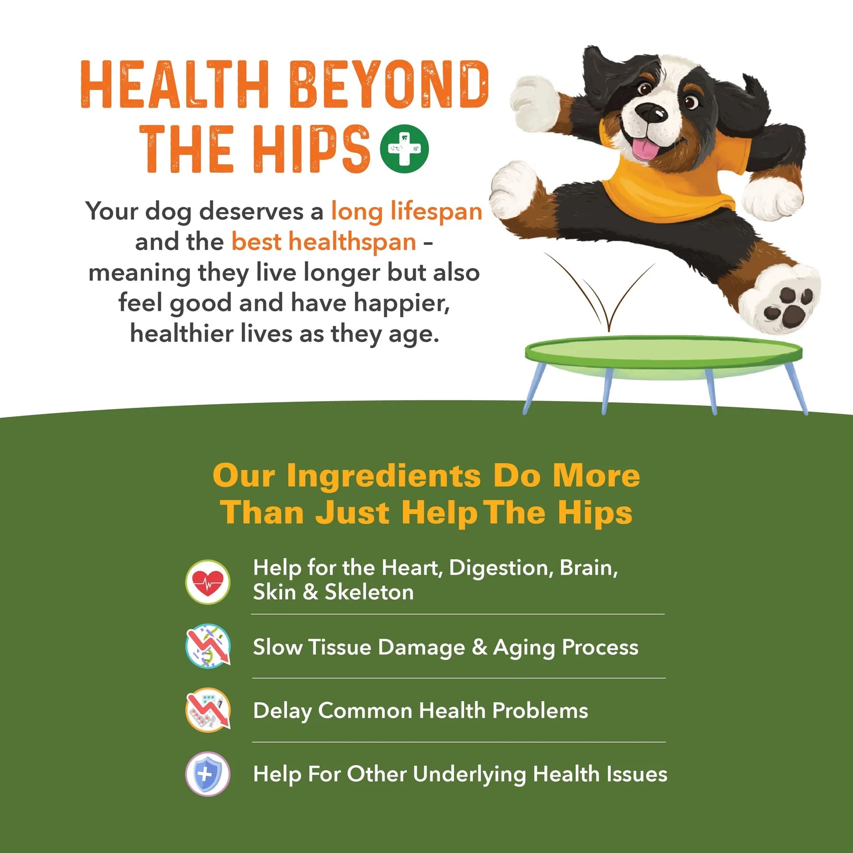 Bernie's Perfect Poop - Bernie's Healthy Hips - 90 count