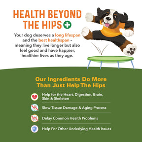 Bernie's Perfect Poop - Bernie's Healthy Hips - 90 count