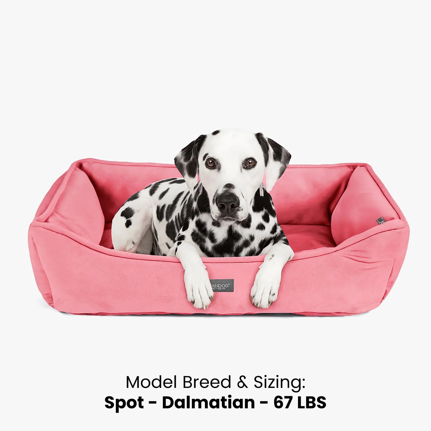 Nandog Pet Gear