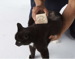 SleekEZ Cat Brush