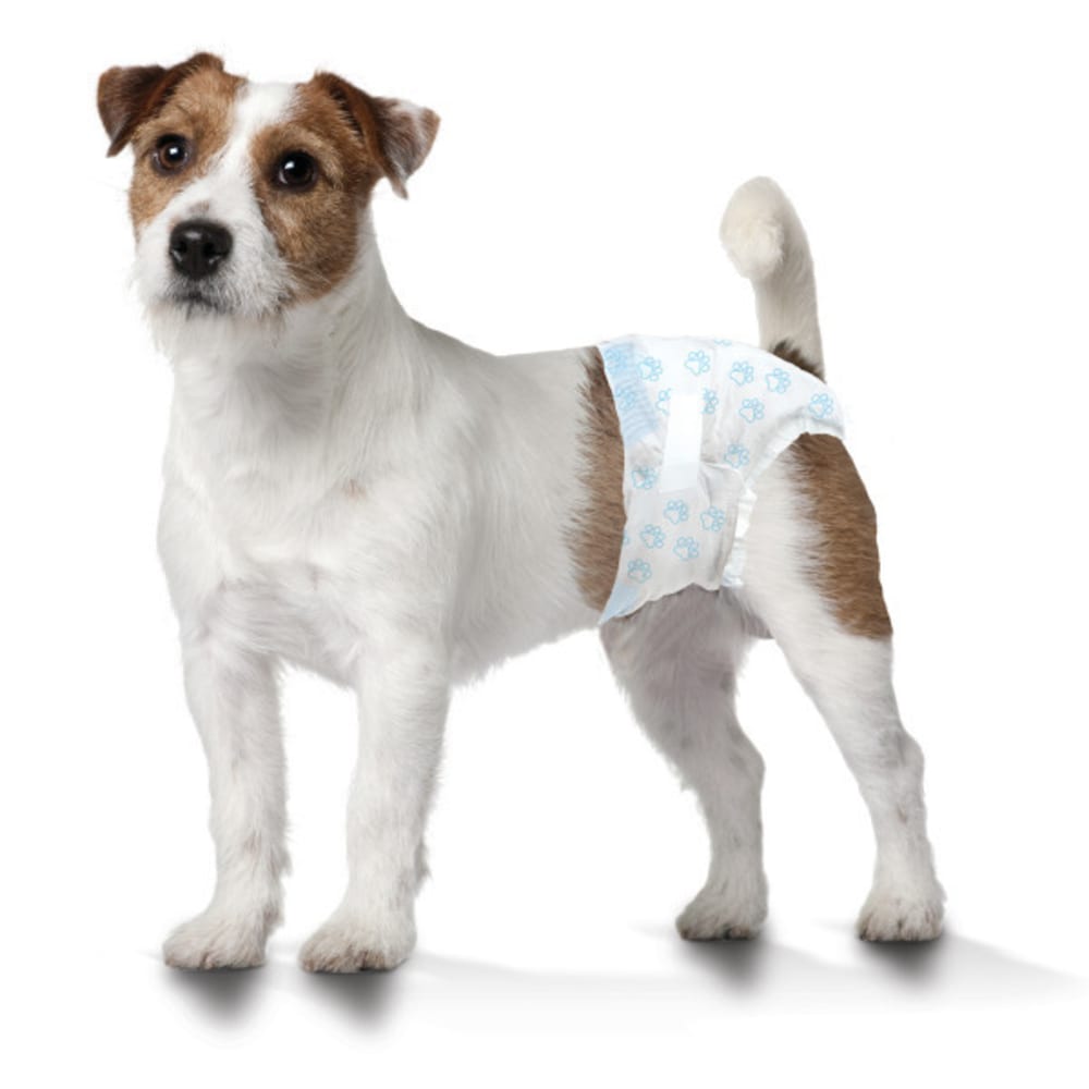 Four Paws - Wee-Wee Disposable Dog Diapers