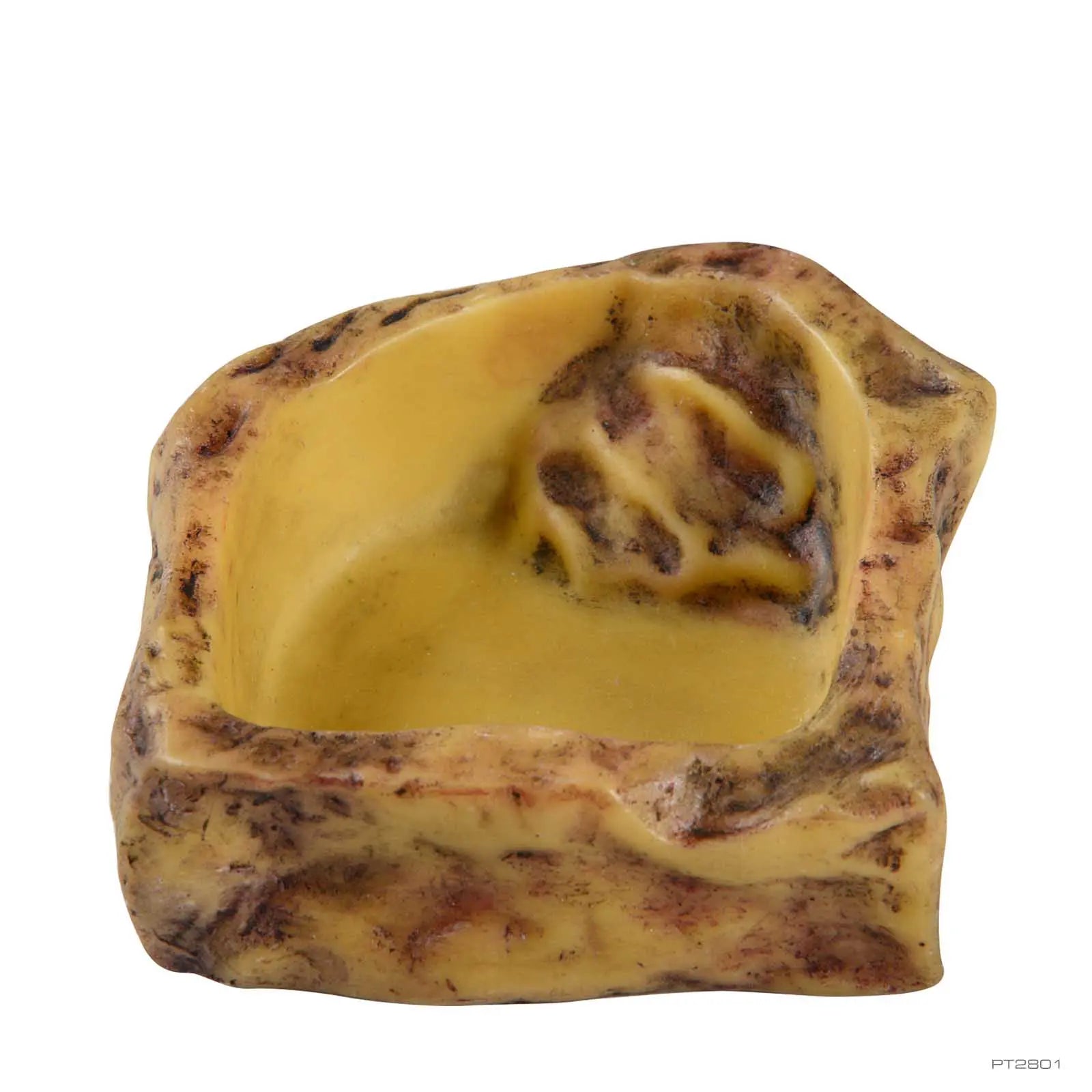 Water Dish Rock Natural