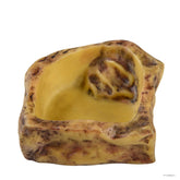 Water Dish Rock Natural