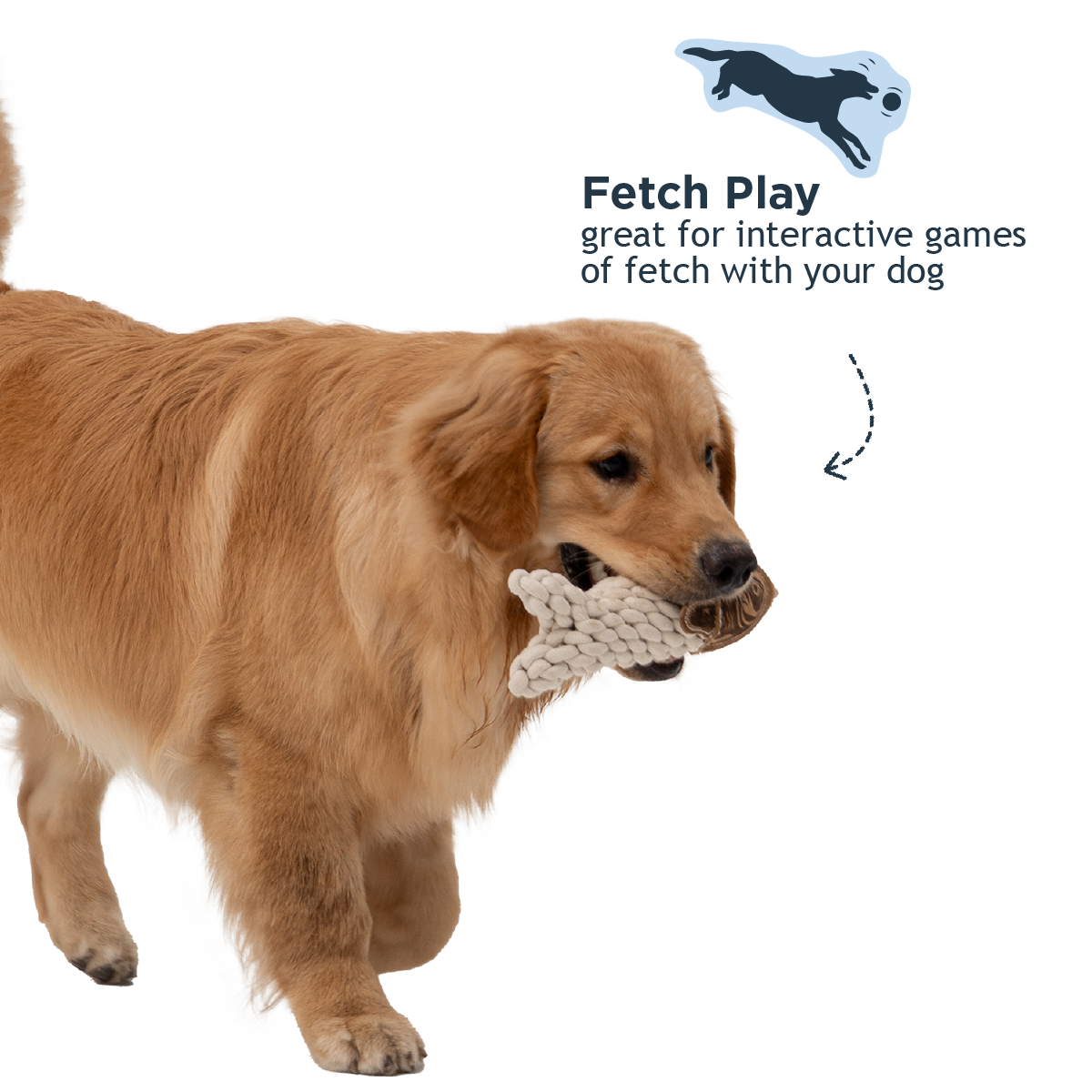 Tall Tails - Crunch Fish Dog Toy