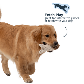 Tall Tails - Crunch Fish Dog Toy