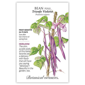 Botanical Interests, Inc. - Trionfo Violetto Pole Bean Seeds