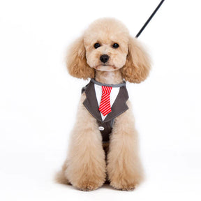 Dogo Pet - SnapGO Necktie