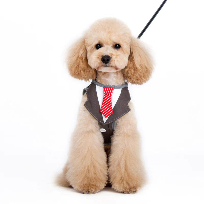 Dogo Pet - SnapGO Necktie