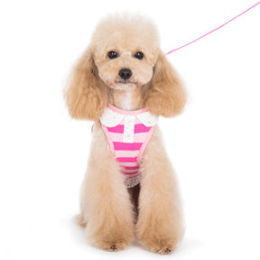 Dogo Pet - SnapGO Polo Girl Harness