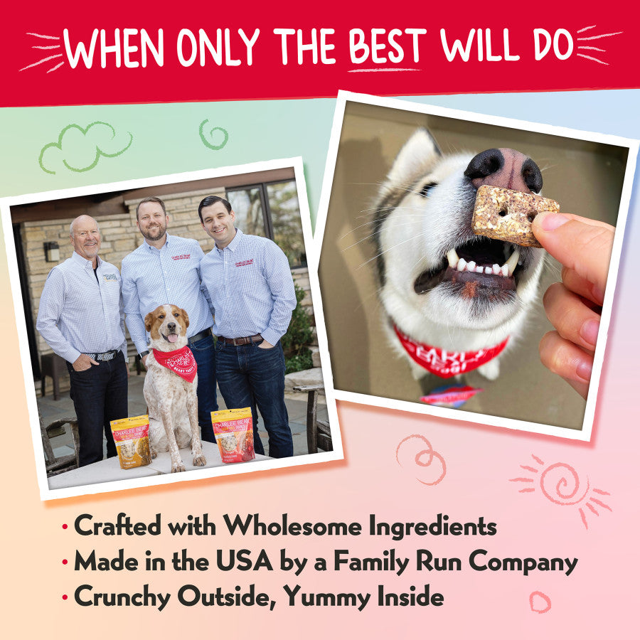 Central Pet Houston - Charlee Bear Nuggets Sunny Side Up