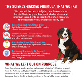 Bernie's Perfect Poop - Bernie's Marvelous Mobility - 90 count