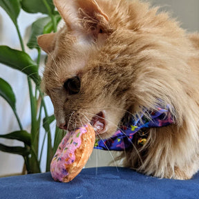 Huxley & Kent - Cat Toy Strawberry Donut