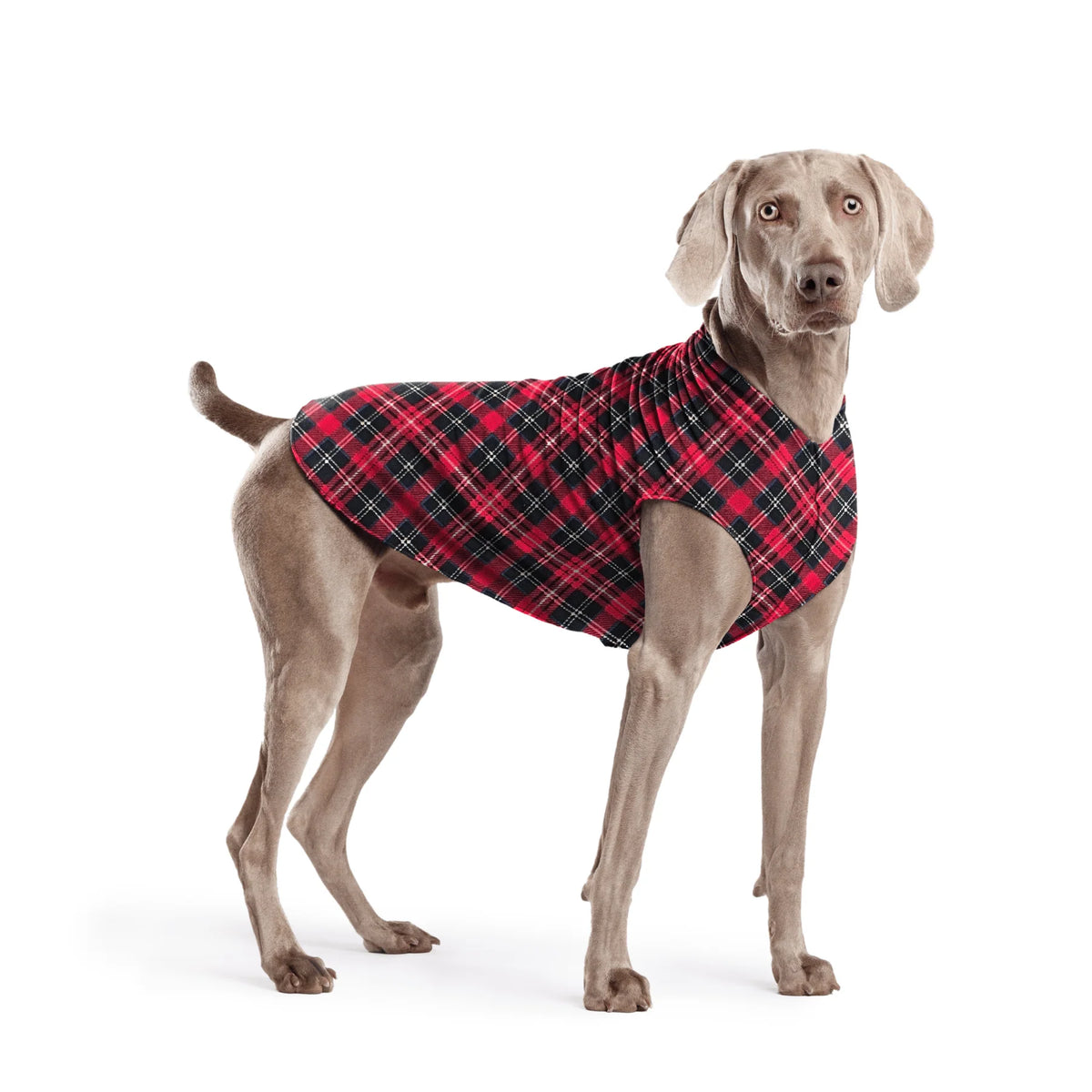 GoldPaw - Stretch Fleece Red Plaid