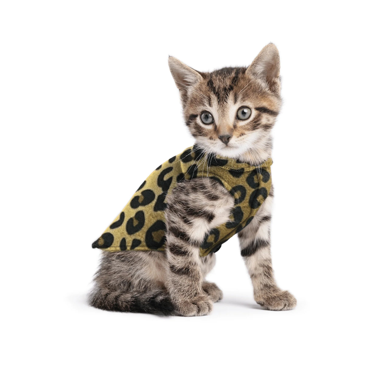 GoldPaw - Stretch Fleece Leopard