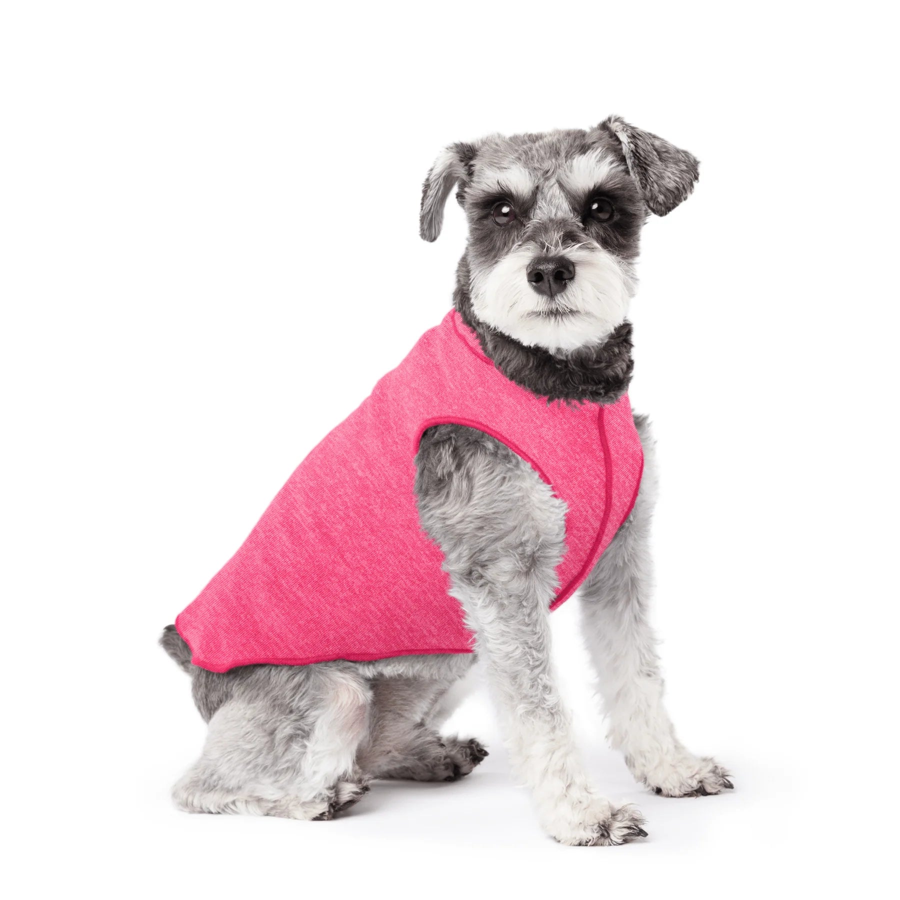 GoldPaw - Sun Shield Tee Ocean Flamingo