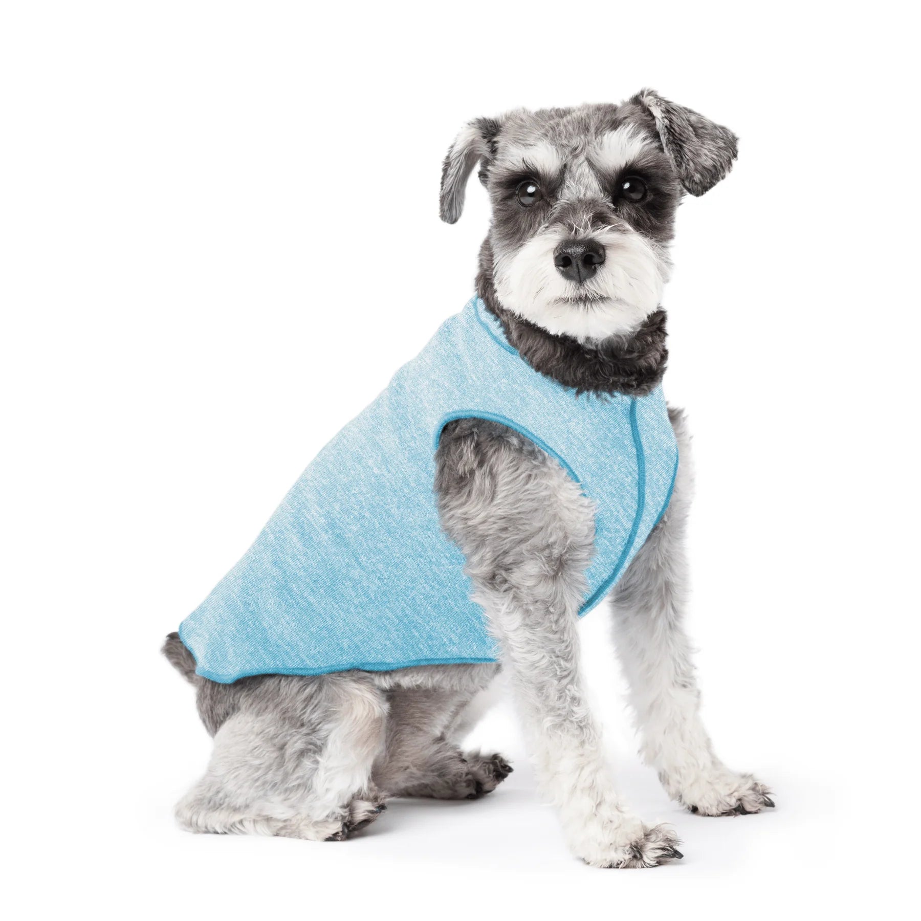 GoldPaw - Sun Shield Tee Ocean Blue