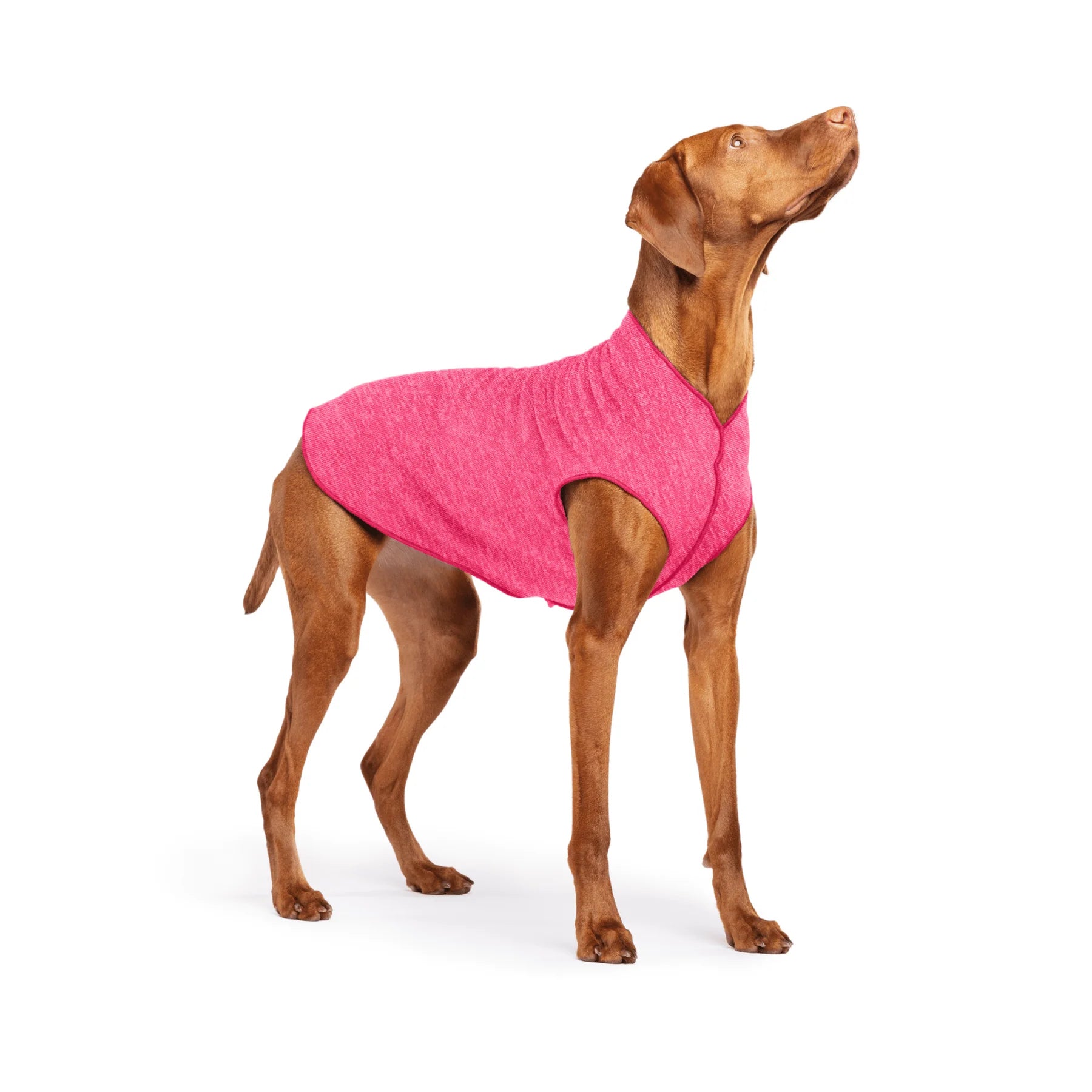 GoldPaw - Sun Shield Tee Ocean Flamingo