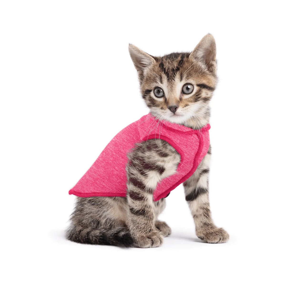 GoldPaw - Sun Shield Tee Ocean Flamingo