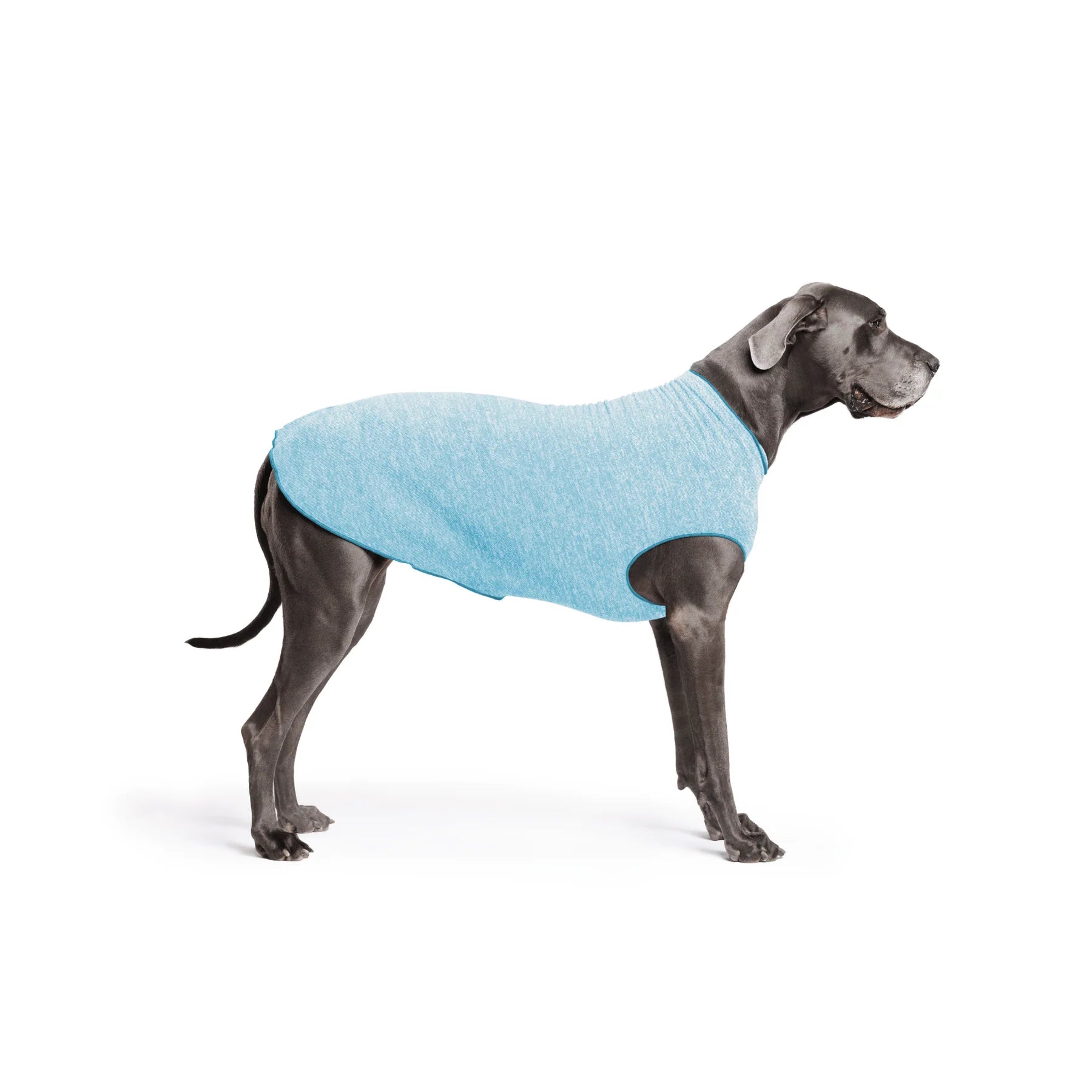 GoldPaw - Sun Shield Tee Ocean Blue