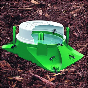 Terro Outdoor Liquid Ant Bait 4 Pack