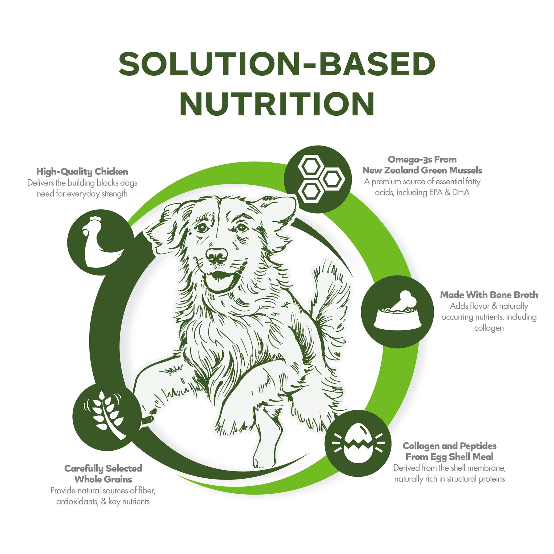 Fromm - Nutritionals Mobility Chicken & Whole Oates Dog Food