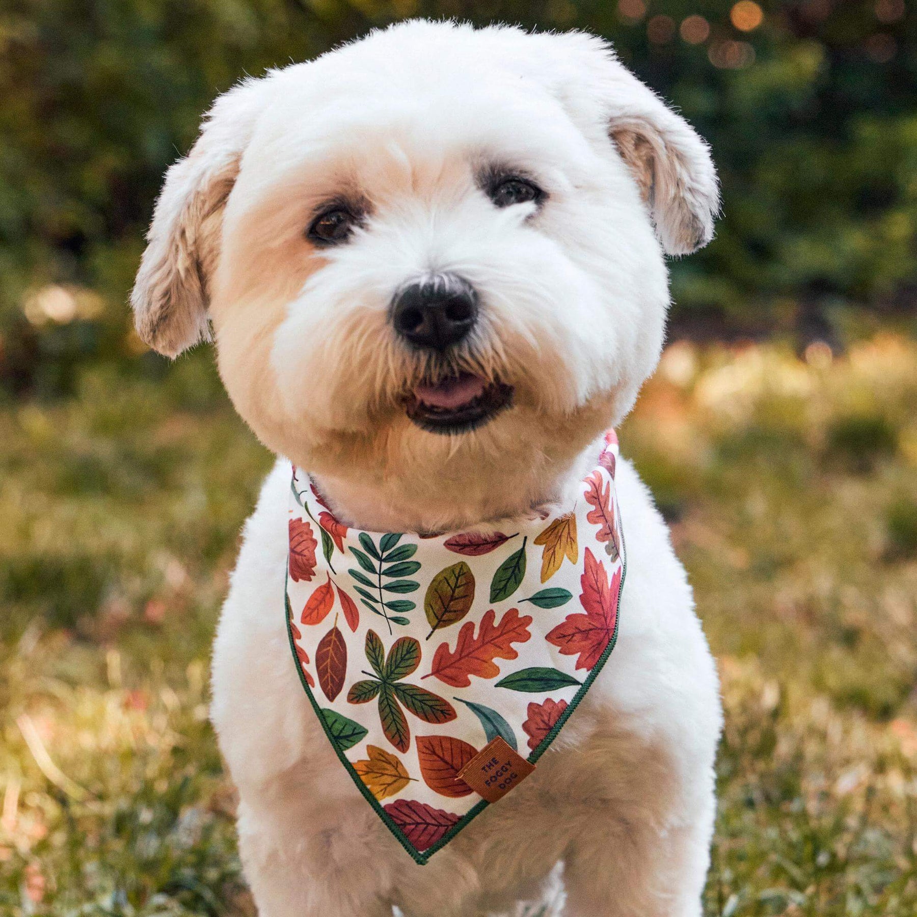 The Foggy Dog - Bandana Dog Falling Leaves