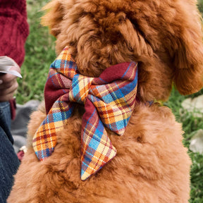The Foggy Dog - Lady Bow Marlow Plaid Flannel