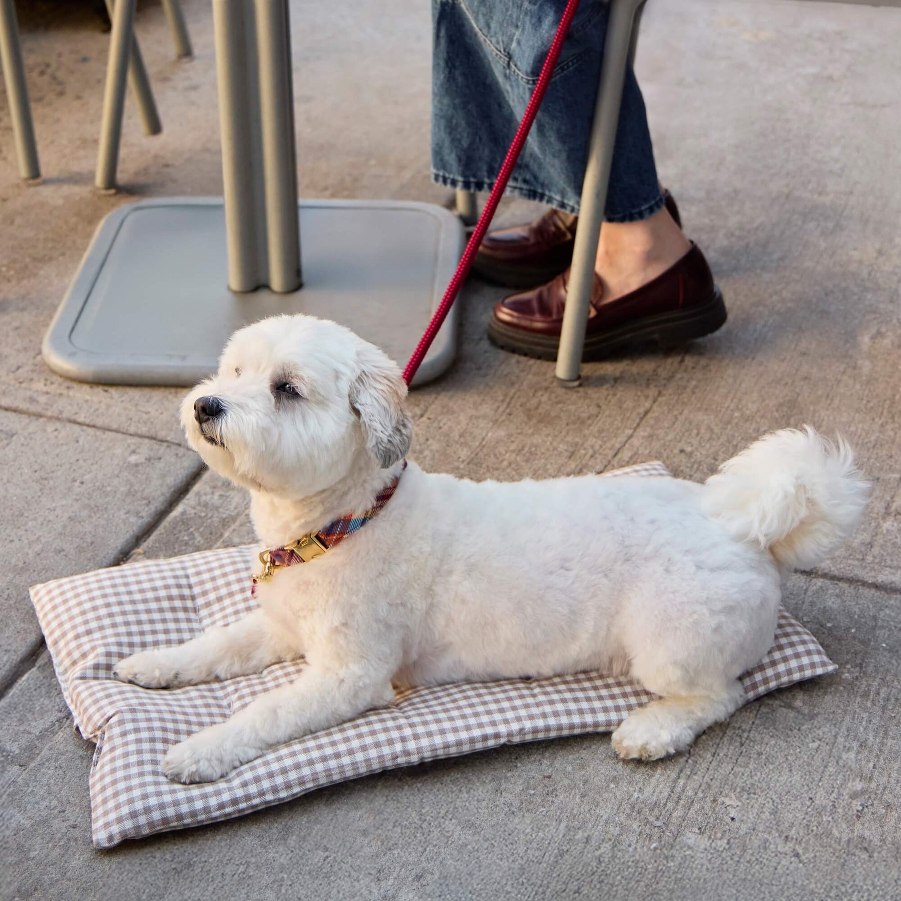 Foggy Dog - Dog Travel Mat