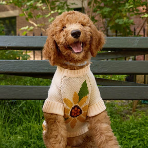 The Foggy Dog - Dog Sweater Sunflower