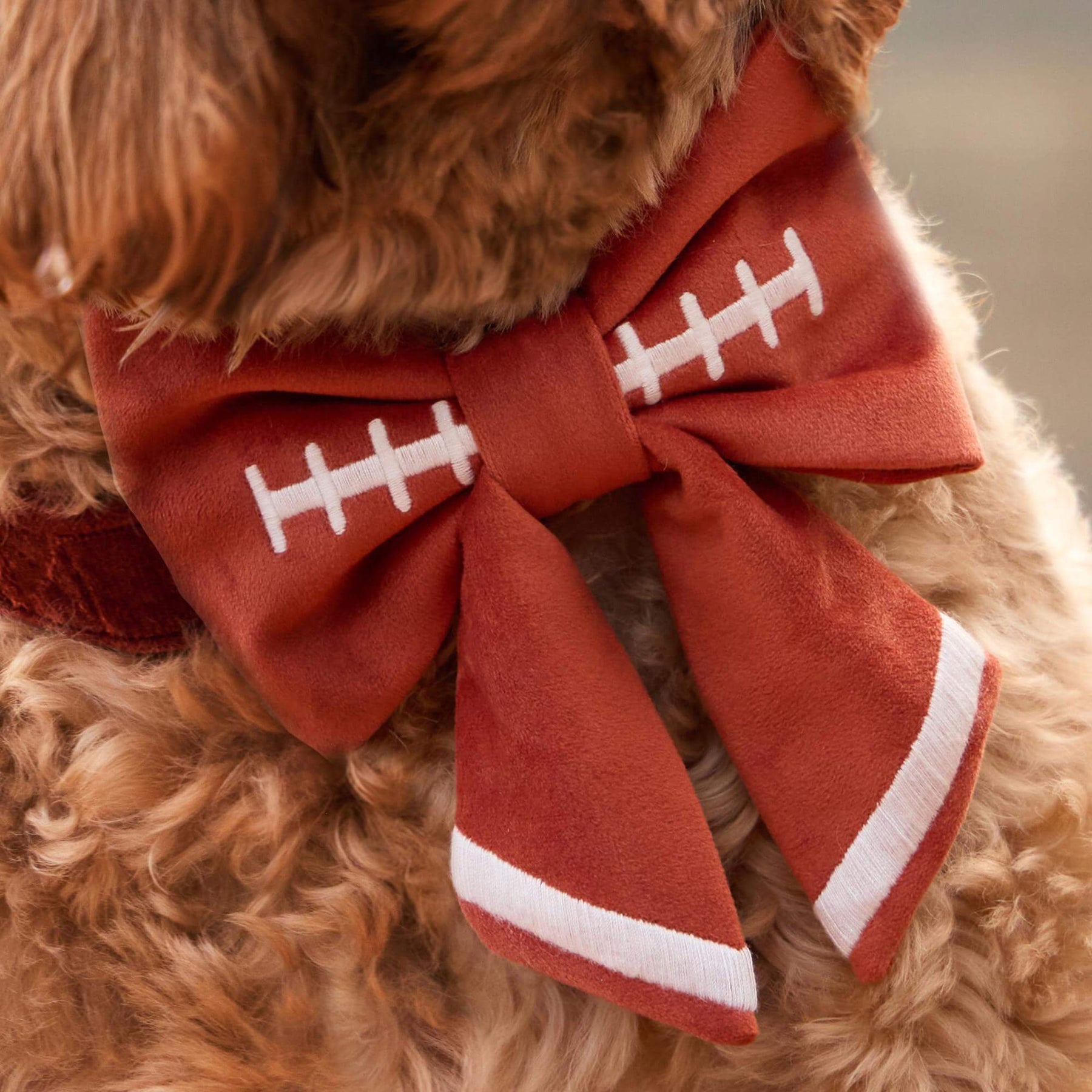 The Foggy Dog - Lady Bow Football Embroidered