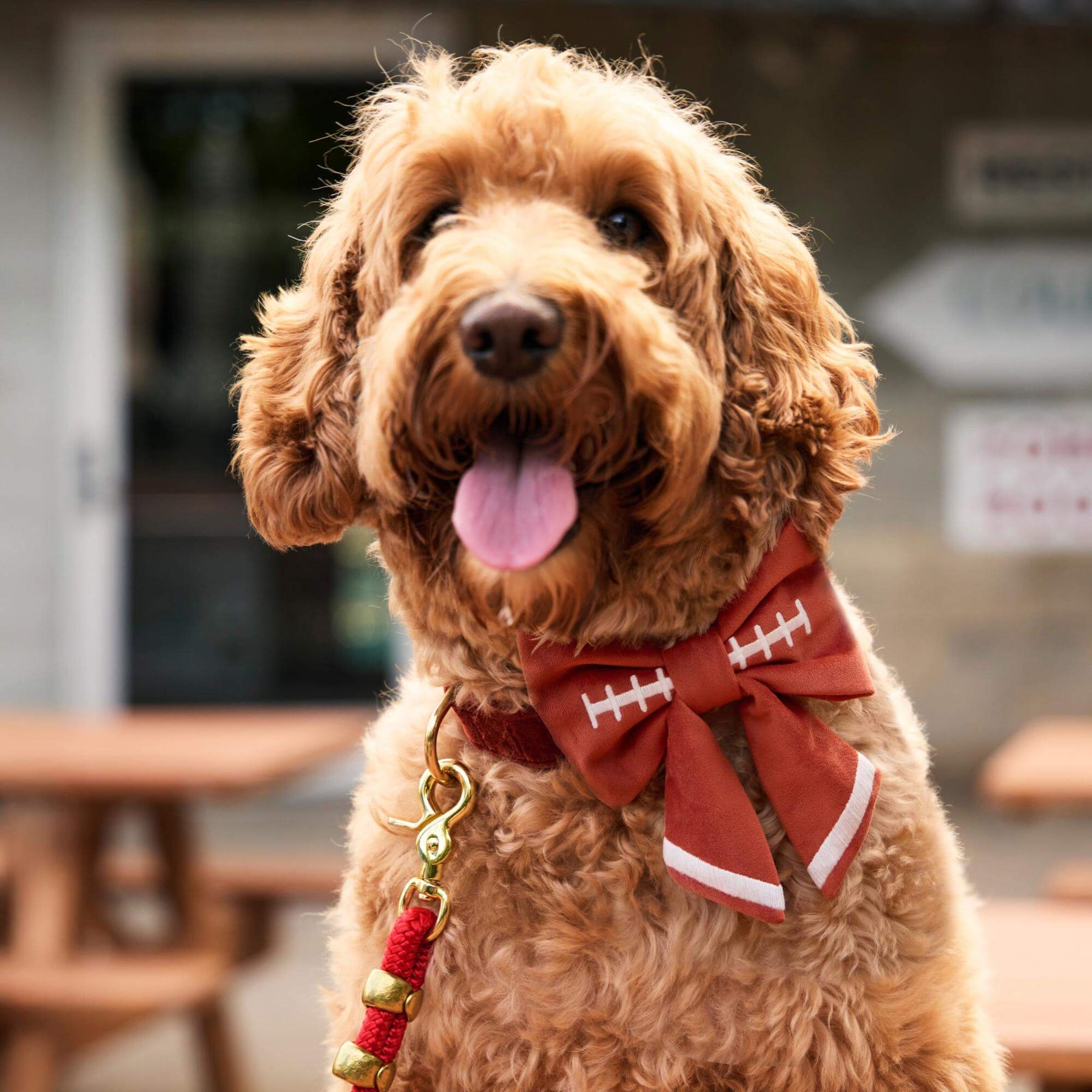 The Foggy Dog - Lady Bow Football Embroidered