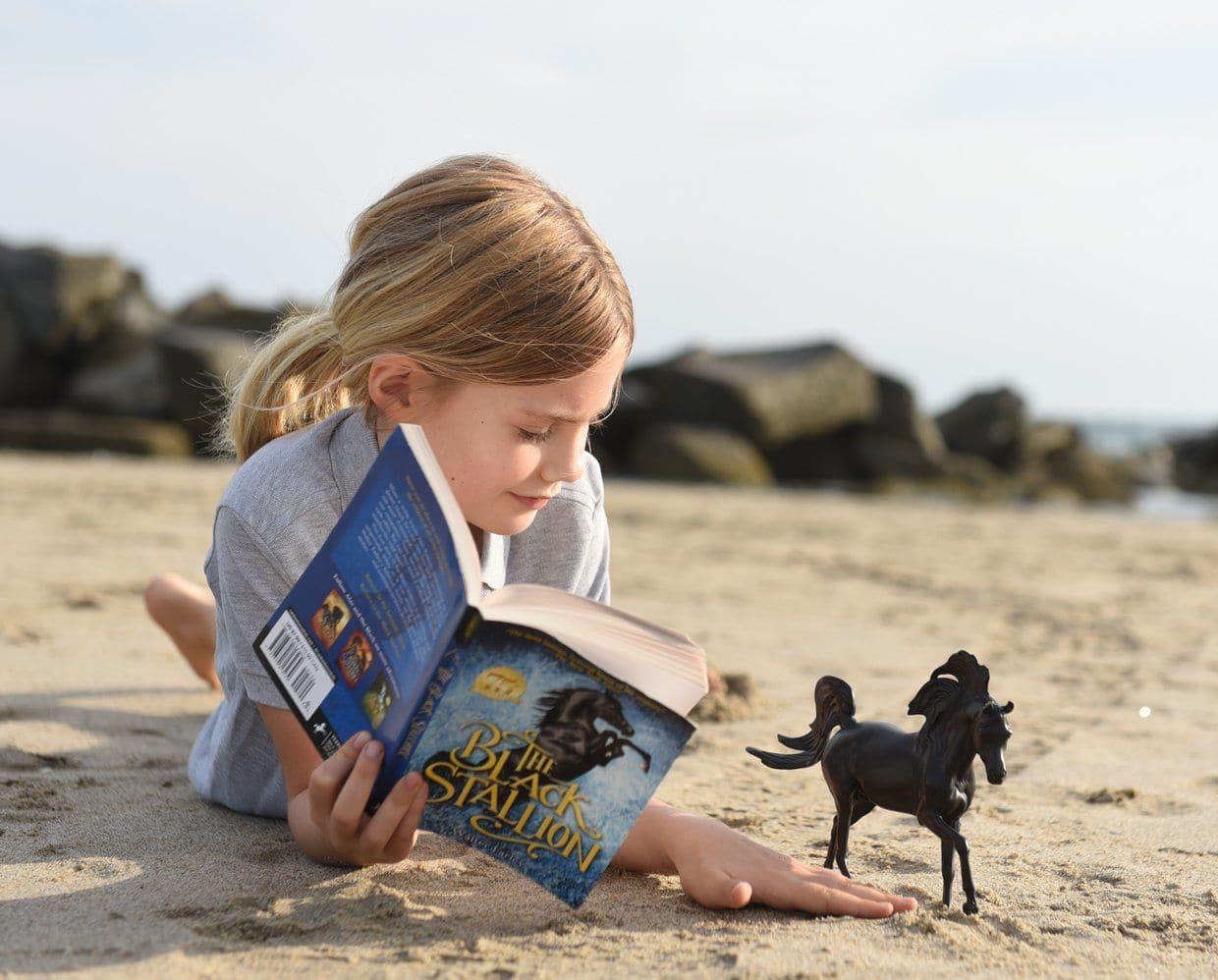 Breyer - Black Stallion & Book Set