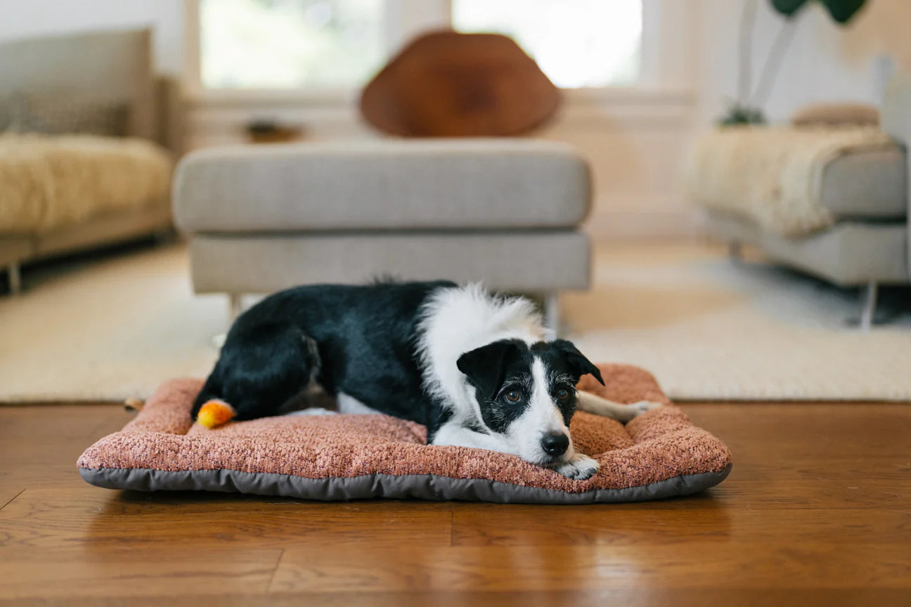 P.L.A.Y Pet Lifestyle And You - Chill Pad Canyon Series