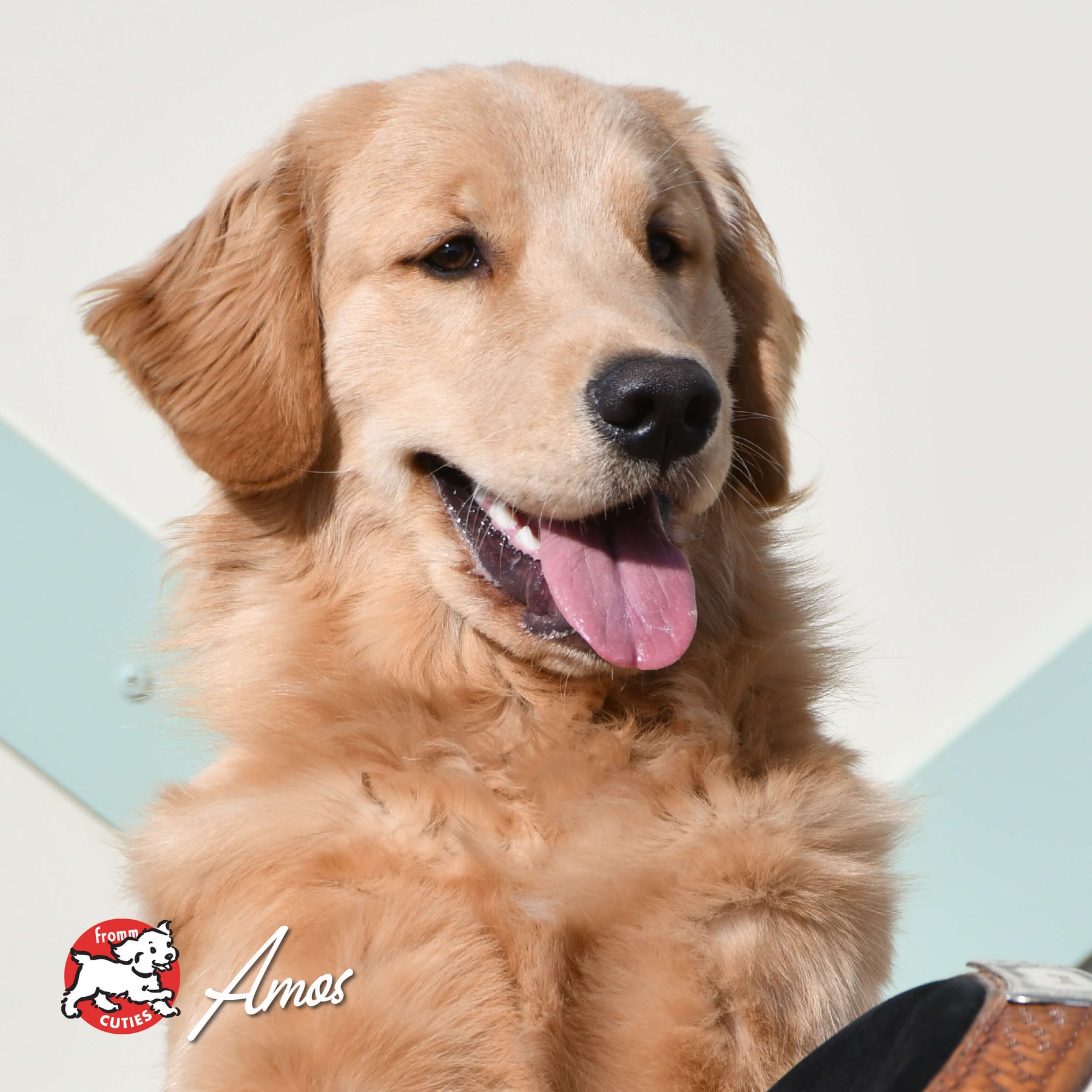 Fromm - Classic Adult Whitefish & Rice Dog Food