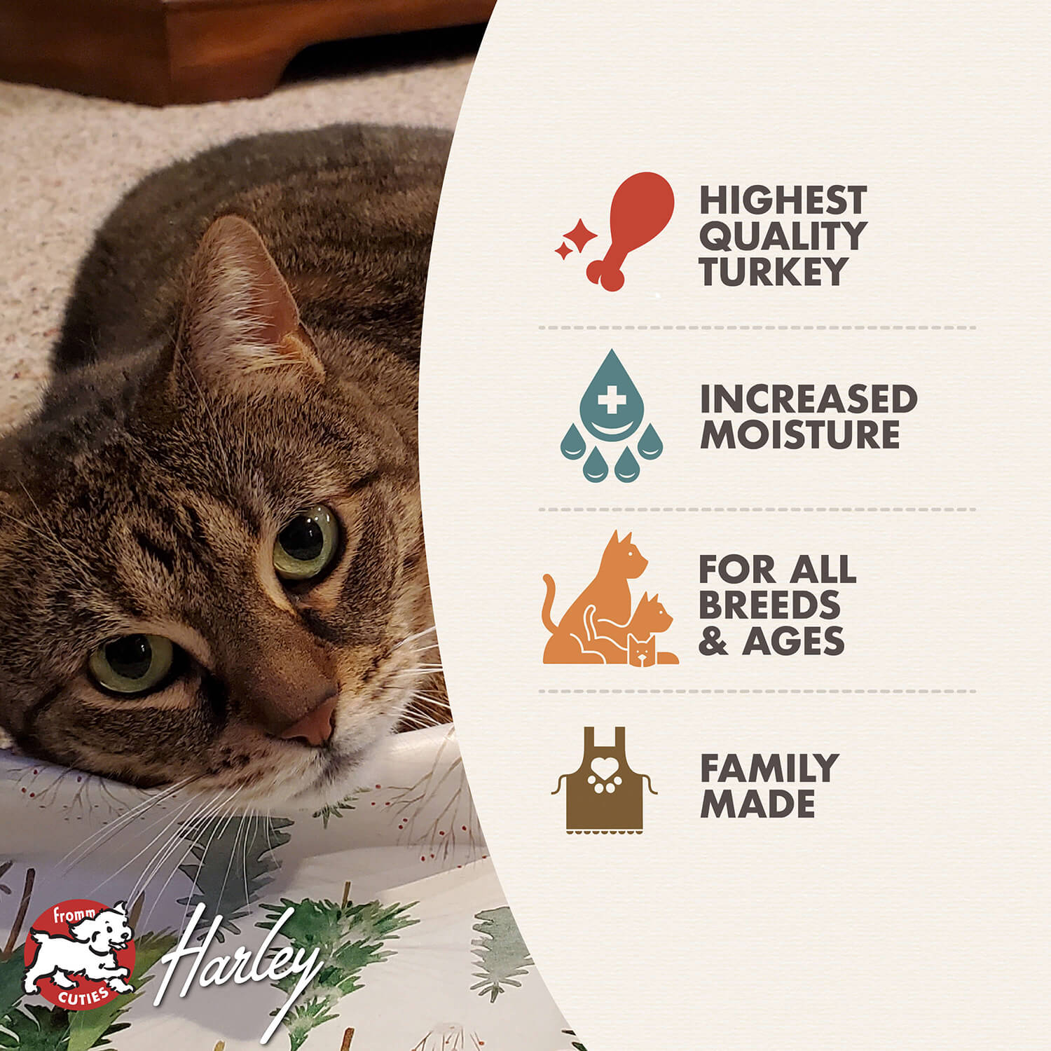 Fromm - Four Star Turkey & Pumpkin Pate Grain Free