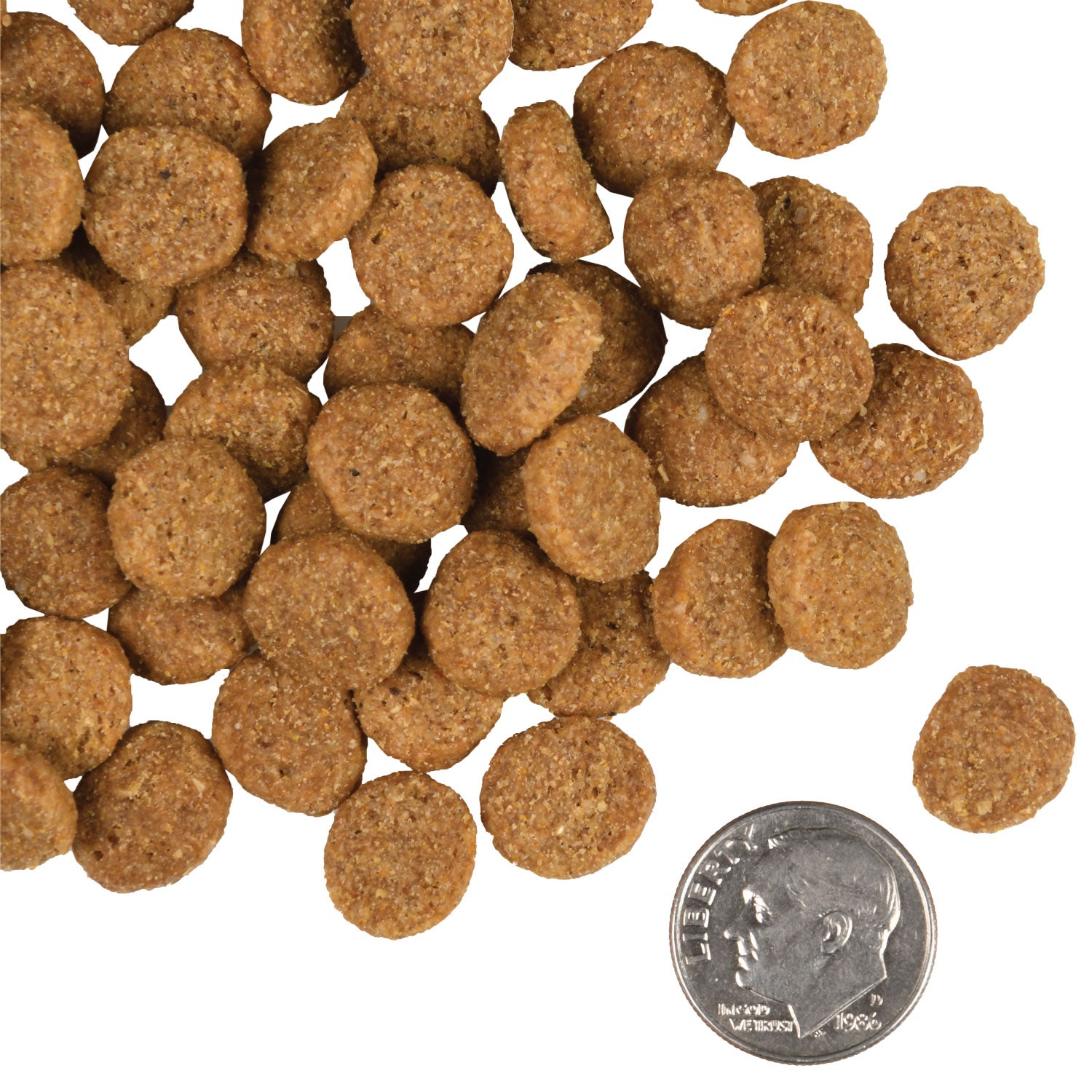 Fromm Gold Large Breed Adult Dry Dog Food