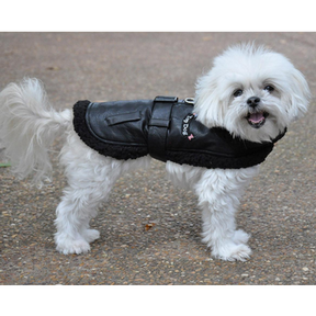 Doggie Design - Top Dog Flight Harness